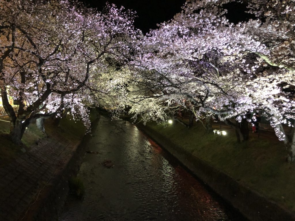 週末イベント♪