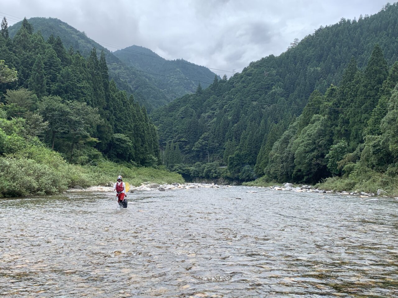 明日から♪