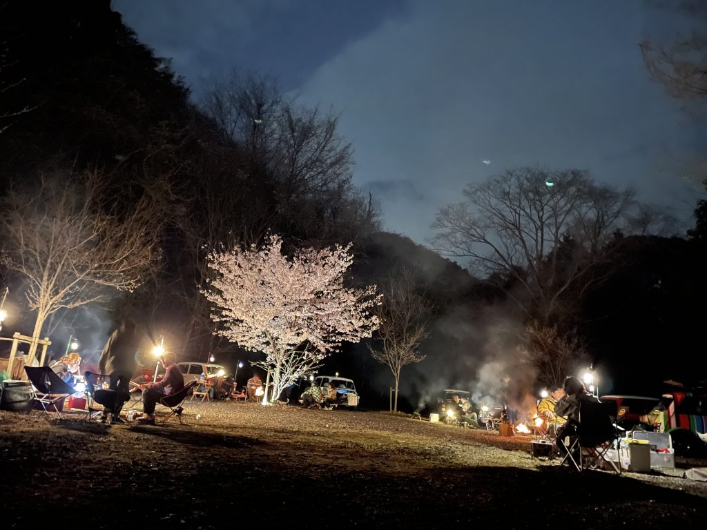 夜桜なよるに♪